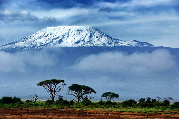 background image for - Ascenso Al Monte Kilimanjaro Por La Ruta Lemosho