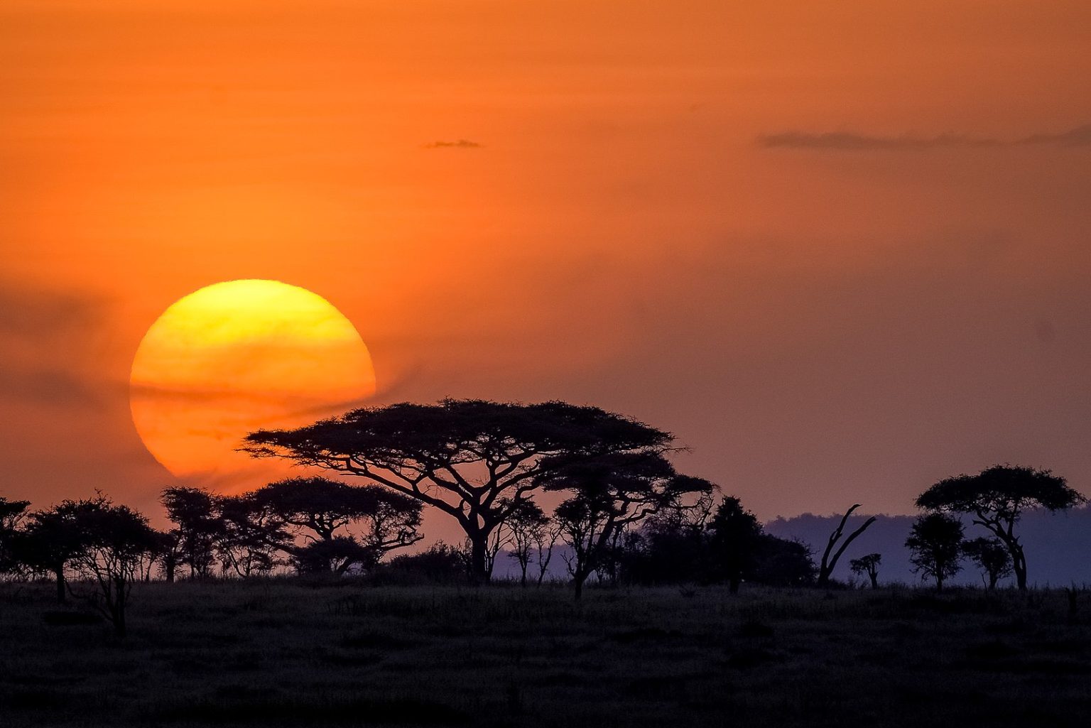 Image number 4 for 4-Days Wildlife Wonders Adventure Through Tanzania