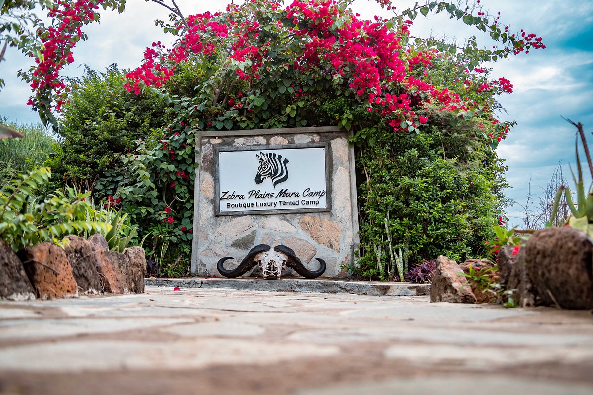 Image number 14 for 6-Day Kenya Safari For Couples Mid-range