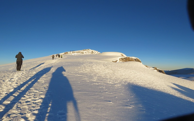 background image for - Kilimanjaro Marangu Trek Safari In 2025-2026