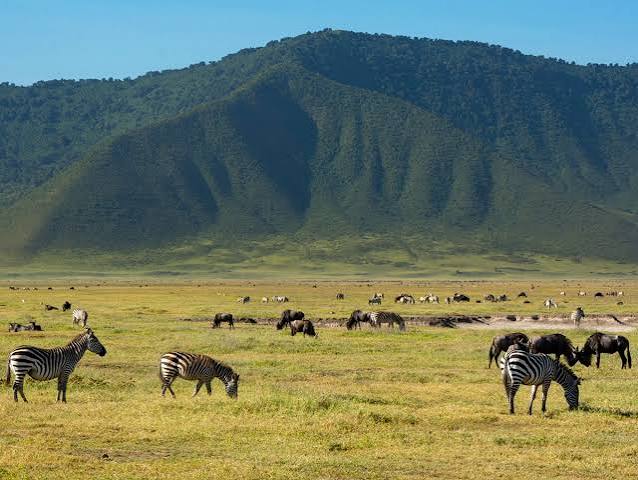 background image for - 8-Day Tanzania Amazing Luxury Safari