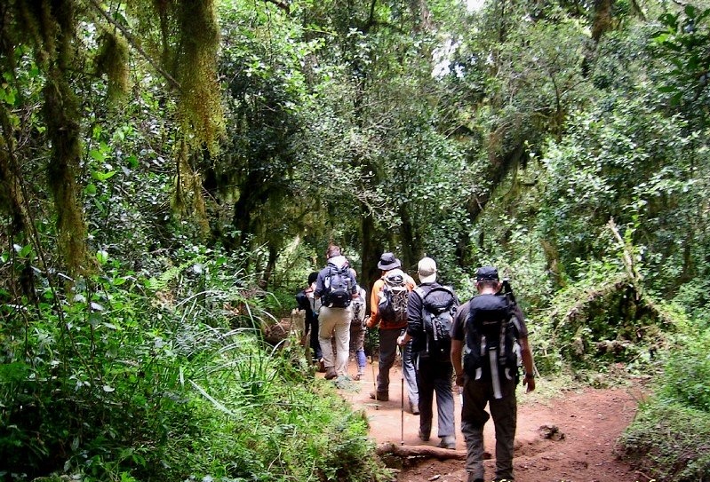 background image for - 6 Days Kilimanjaro Climb Via Umbwe Route