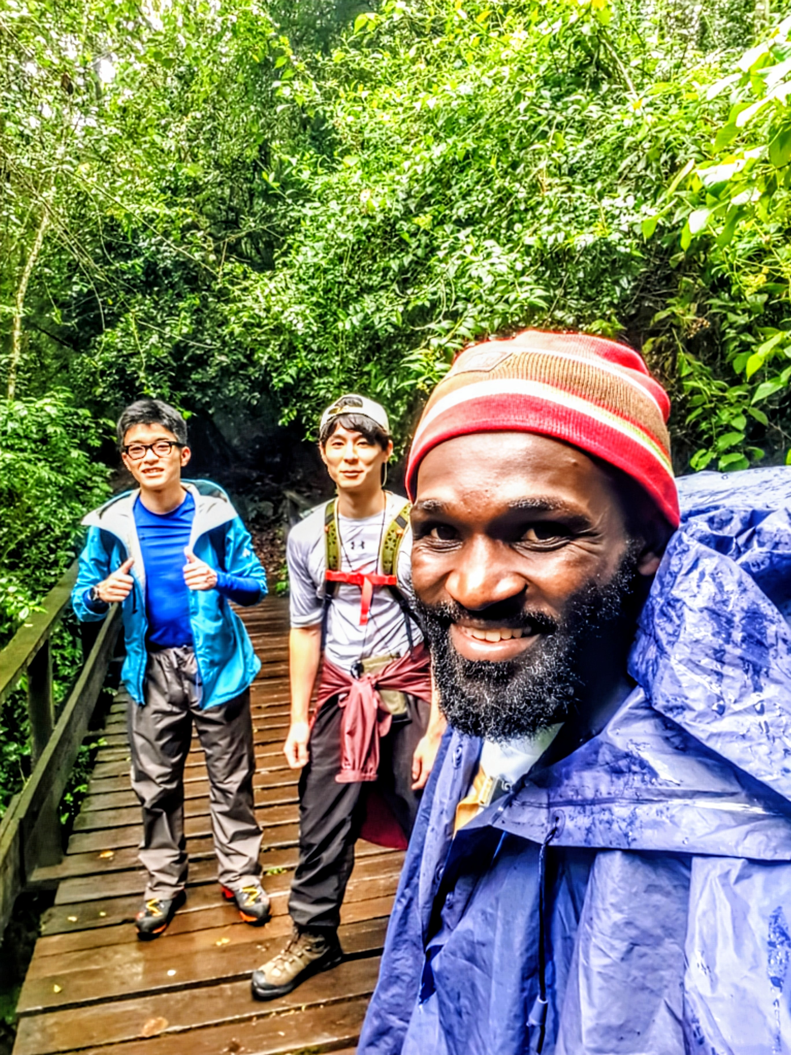 background image for - Days Trip Mountain Kilimanjaro 