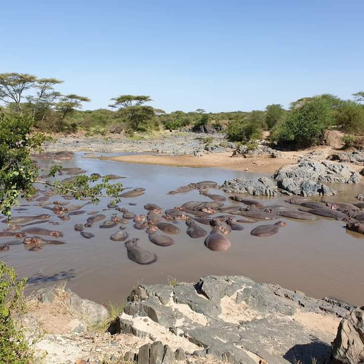 background image for - 3 Days Short And Sweet Safari