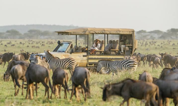Image number 3 for The Majestic Crown: Signature Serengeti & Ngorongoro Safari