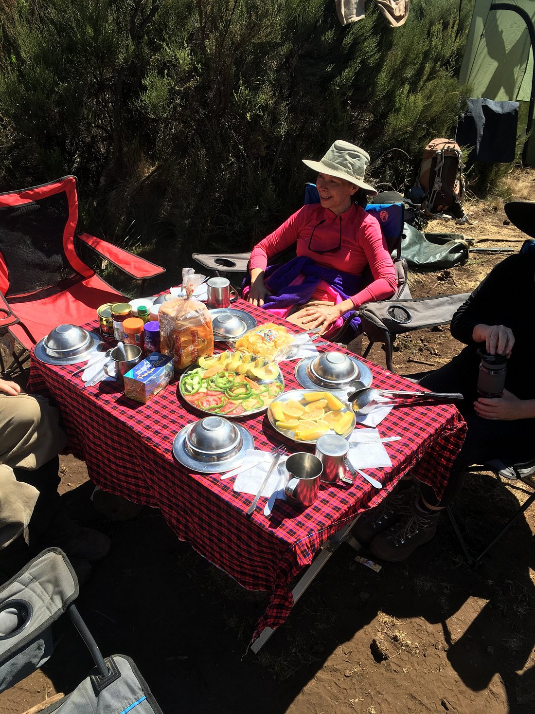 Image number 3 for 9 Days Grand Traverse Route – Mount Kilimanjaro Climb