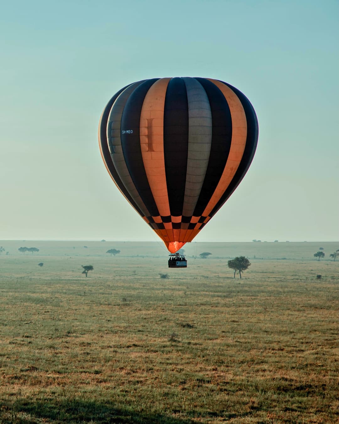 background image for - Tanzania Safari & Balloon Experience