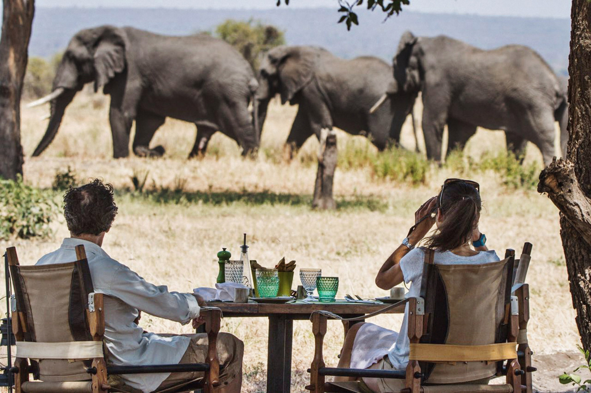 background image for - Best Of Tanzania Luxury Safari