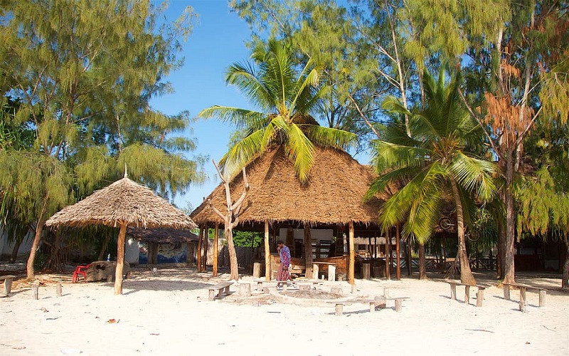 Image number 2 for Day Trip To Mnemba Island Snorkeling Tour 2026-2027