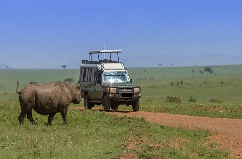 background image for - Best 6 days Tanzania camping safari
