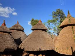 Image number 12 for 12-Day Ethiopian Family Safari Holiday