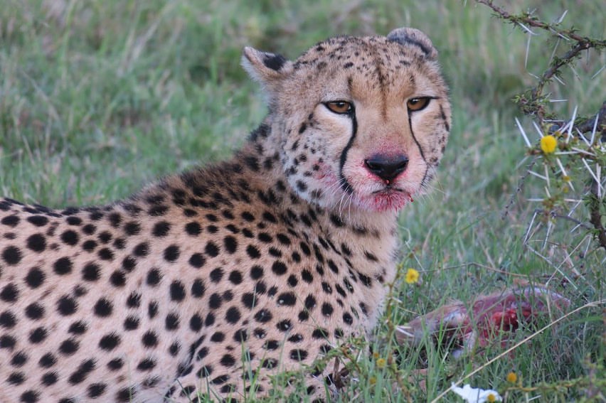 Image number 1 for Tarangire And Ngorongoro Safari