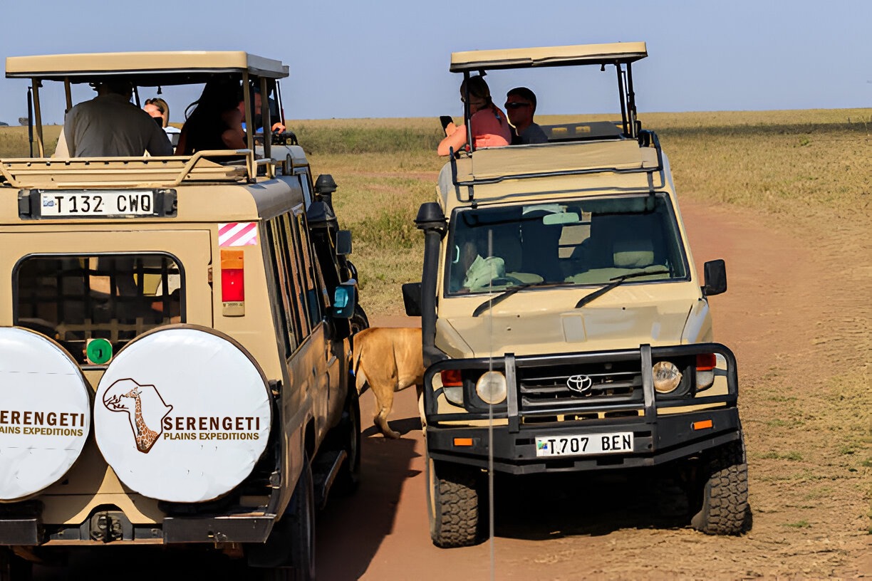 background image for - Best Tarangire, Ngorongoro & Manyara Trip_safari