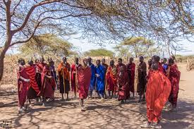 Image number 1 for 2 Day : Mikumi And Masai Cultural Expereince 