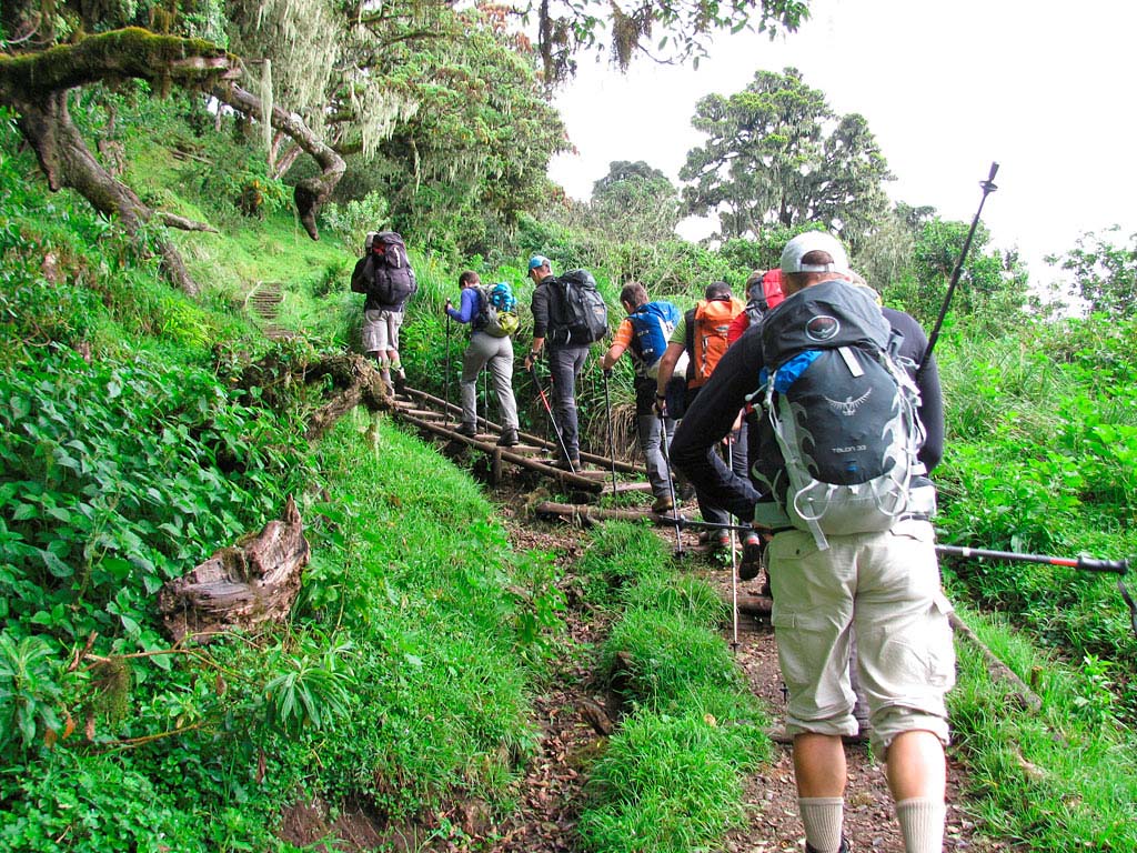 background image for - 1 Day Mount Meru Hiking Trip