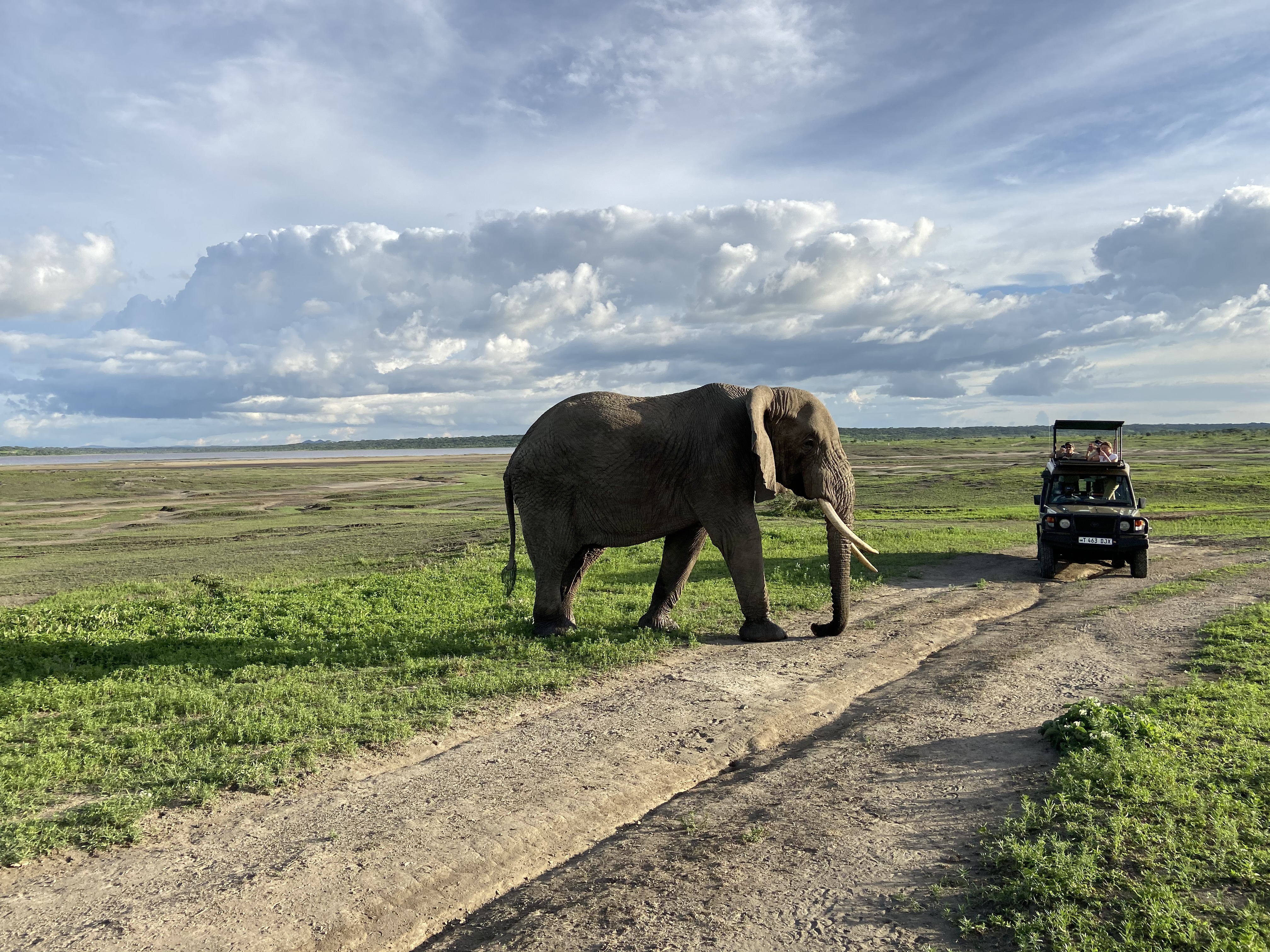 Image number 18 for 5-Day Safari Experience