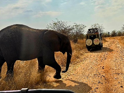 Image number 3 for Private Midrange Safari Northern