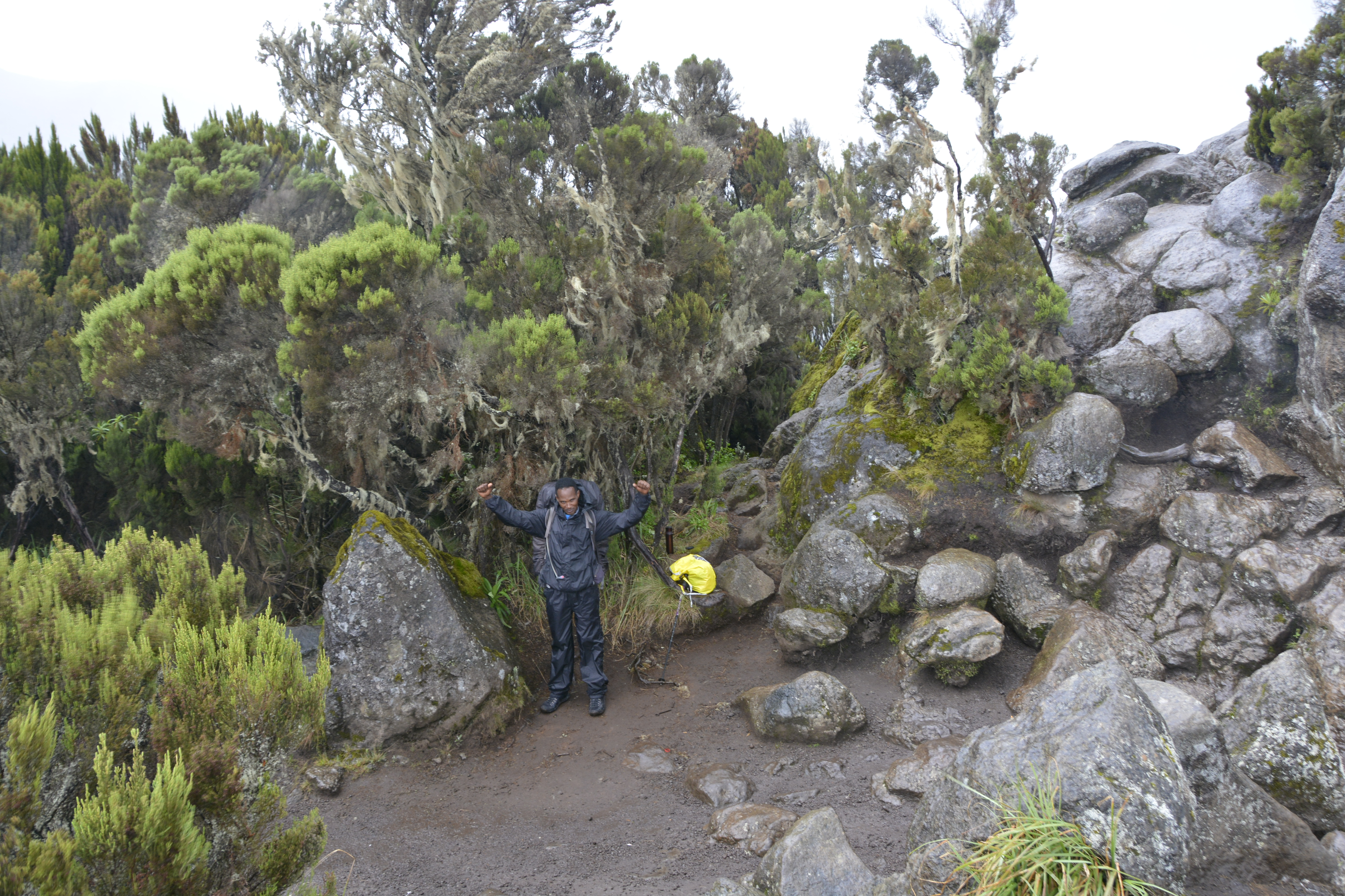 background image for - 6 Days Machame Christmas Route