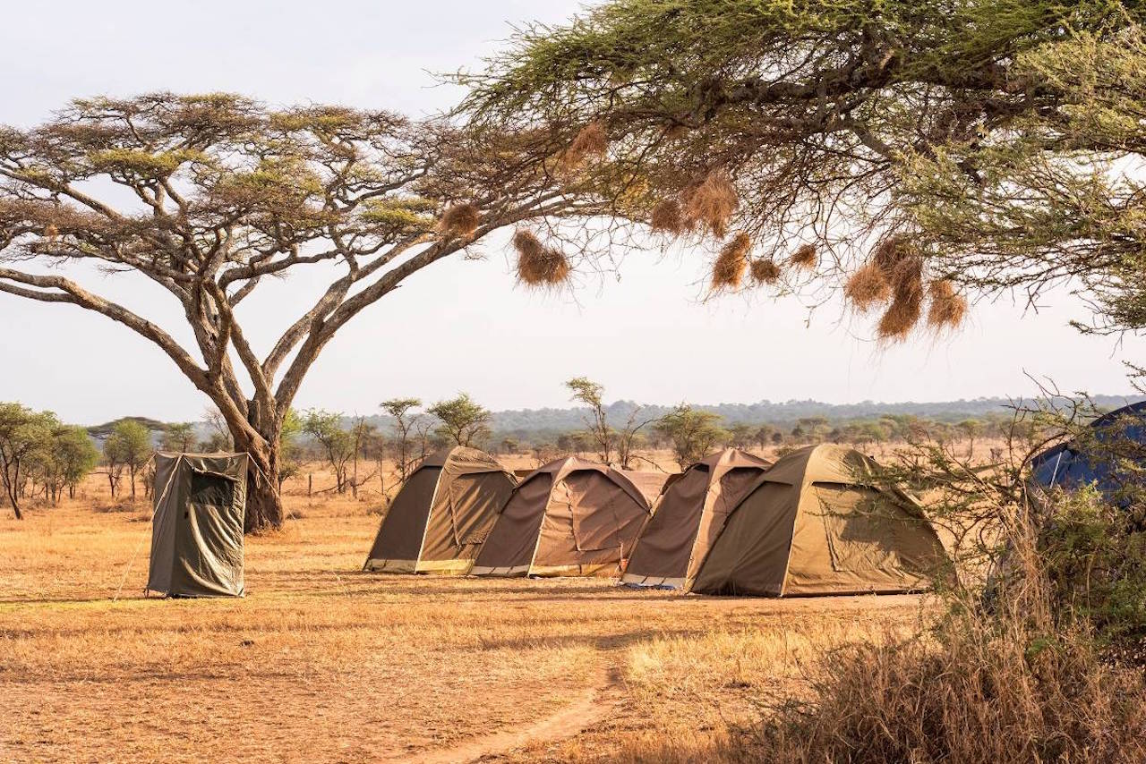 Image number 1 for 5 Days Serengeti Safari Camping Expedition