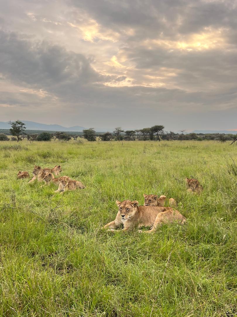 background image for - 6 Days Machame Route Kilimanjaro Climbing Tour