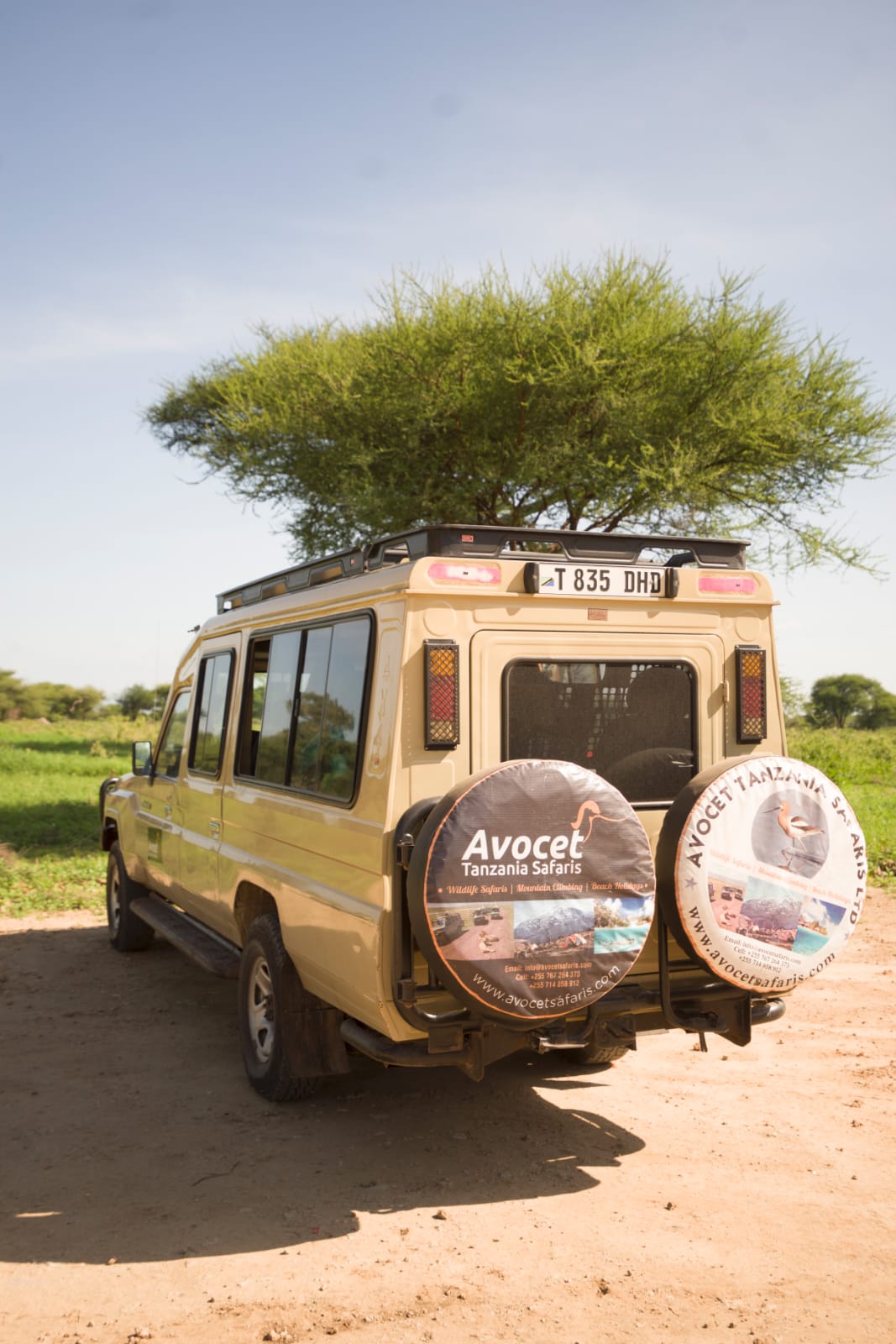 background image for - Lake Manyara and Ngorongoro Crater