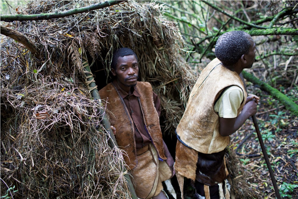 Image number 10 for Gorilla Chimpanzee Trekking Safari