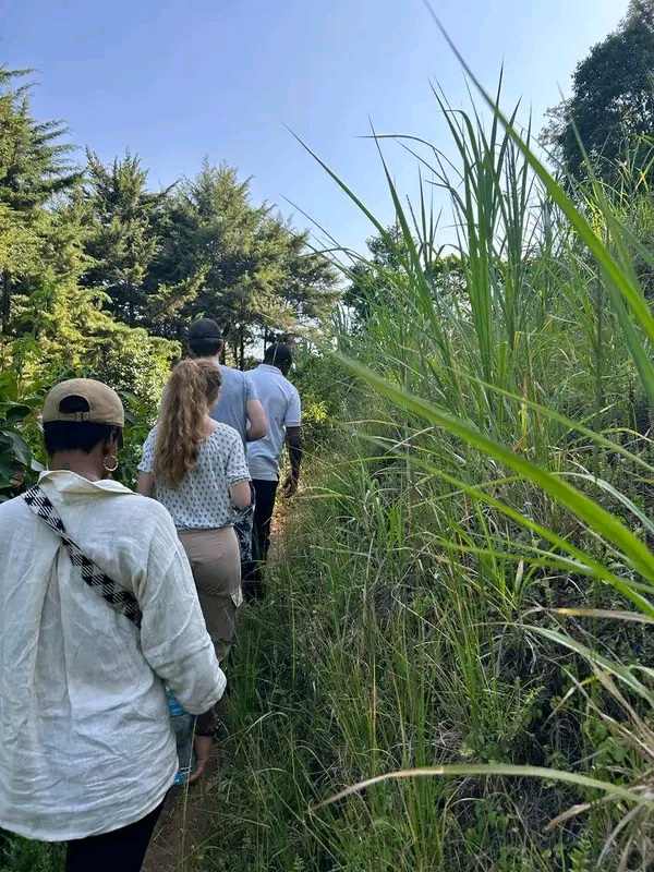 background image for - Day Trip To Mbokomu And Coffee Tour