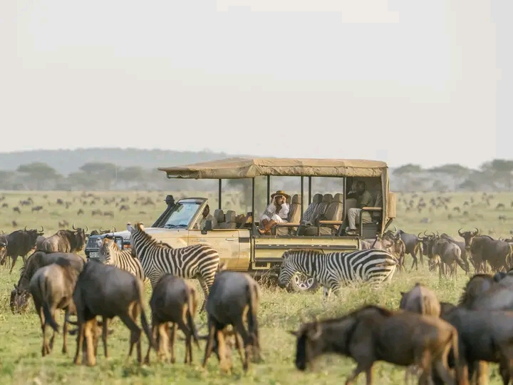 Image number 5 for 7-Day Tanzania Serengeti Safari During The Ndutu Calving Season