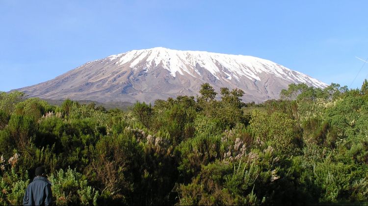 background image for - 7 Days Rongai Route Christmas  Hikes