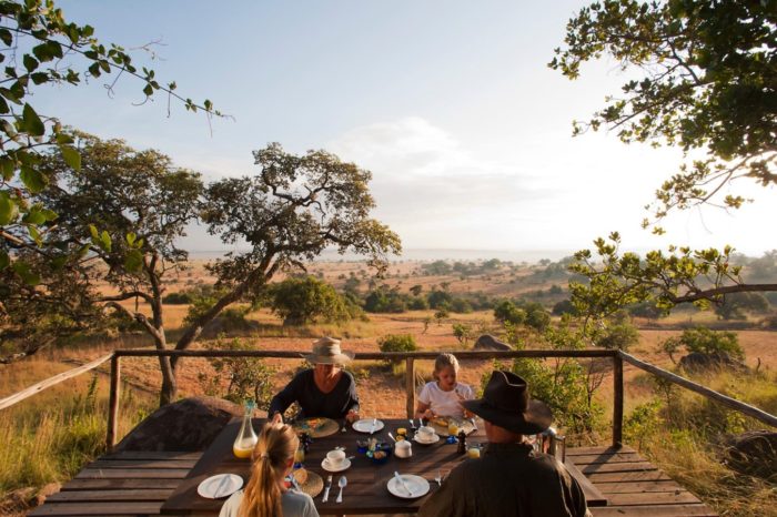 background image for - 5 Days Selous And Mikumi Safari