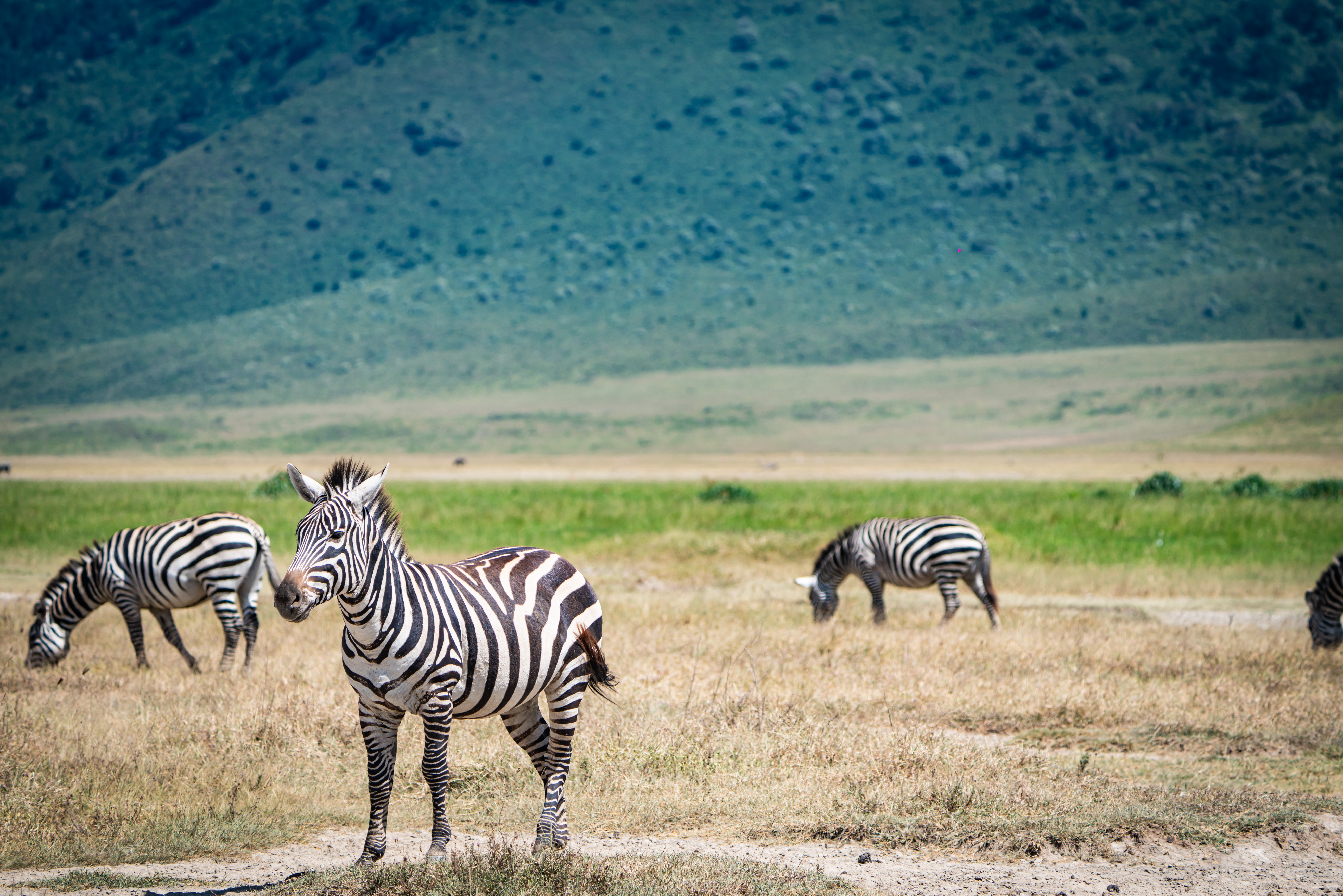 Image number 2 for 3 Days Village Tour And Ngorongoro Crater Safari