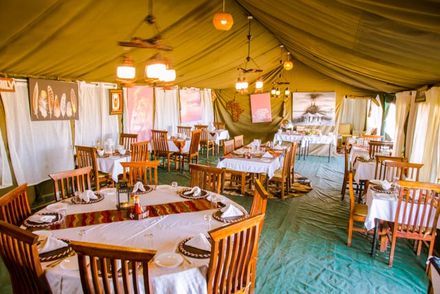 Image number 1 for 7-Day Tanzania Serengeti Safari During The Ndutu Calving Season