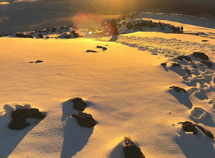 background image for - 6 Days Climb Kilimanjaro Umbwe Route