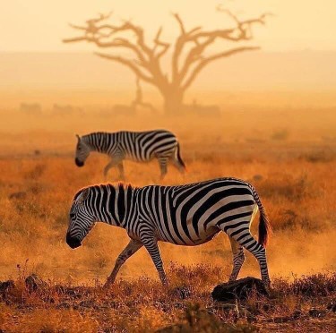Image number 3 for Spirit&soul Of Africa (tanzania/kenya) - Mid-range