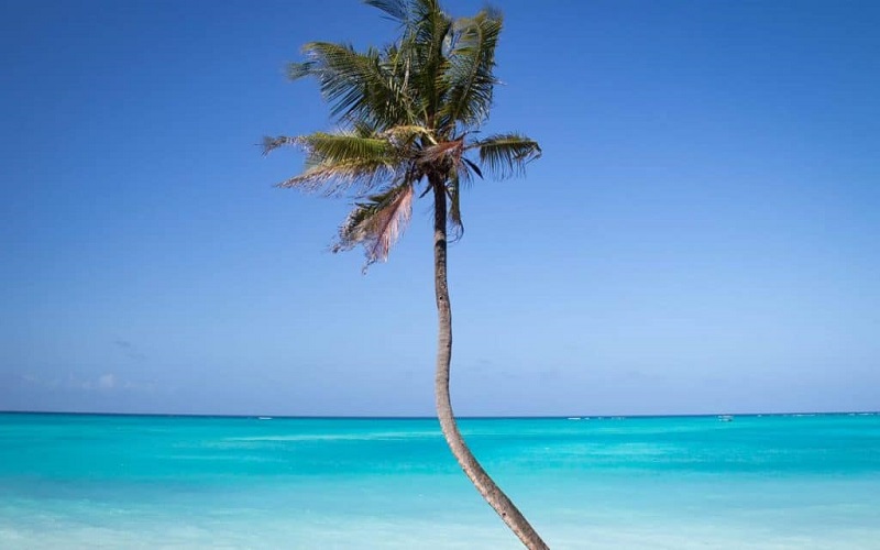 Image number 1 for Day Trip To Mnemba Island Snorkeling Tour 2026-2027