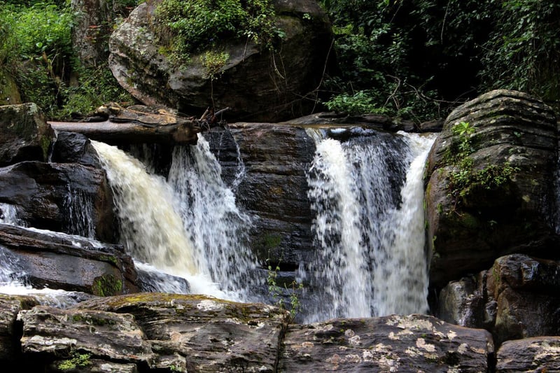 Image number 27 for 5-Days 4 Nights Tour To West Usambara Mountains 