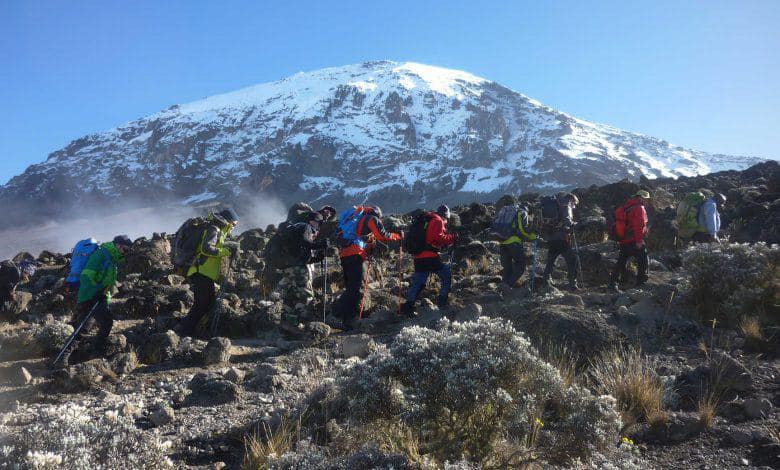 Image number 4 for 8 Days Lemosho Route