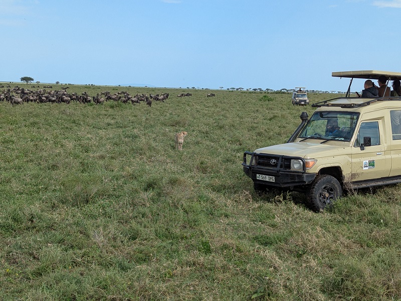 background image for - 2 days Tanzania Sharing Safari 