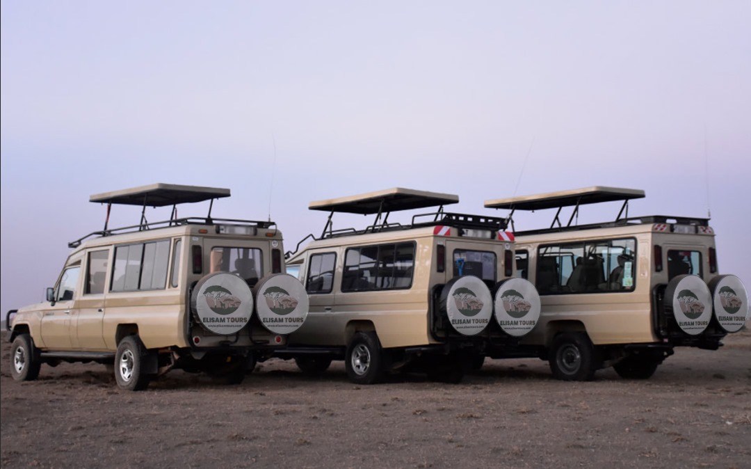 Image number 5 for 4-Day Safari On A Budget