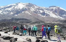 Image number 2 for Shira Route Kilimanjaro Day Hike
