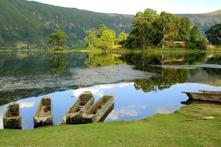 Image number 8 for 12-Day Ethiopian Family Safari Holiday