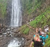 Image number 4 for Big Five Safari, Kilimanjaro & Coffee Tour