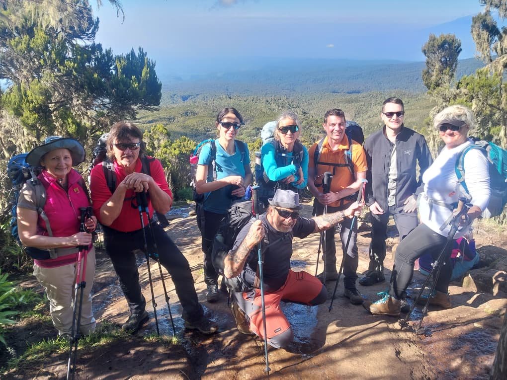 Image number 6 for Kilimanjaro Lemosho Route: Conquer The Roof Of Africa