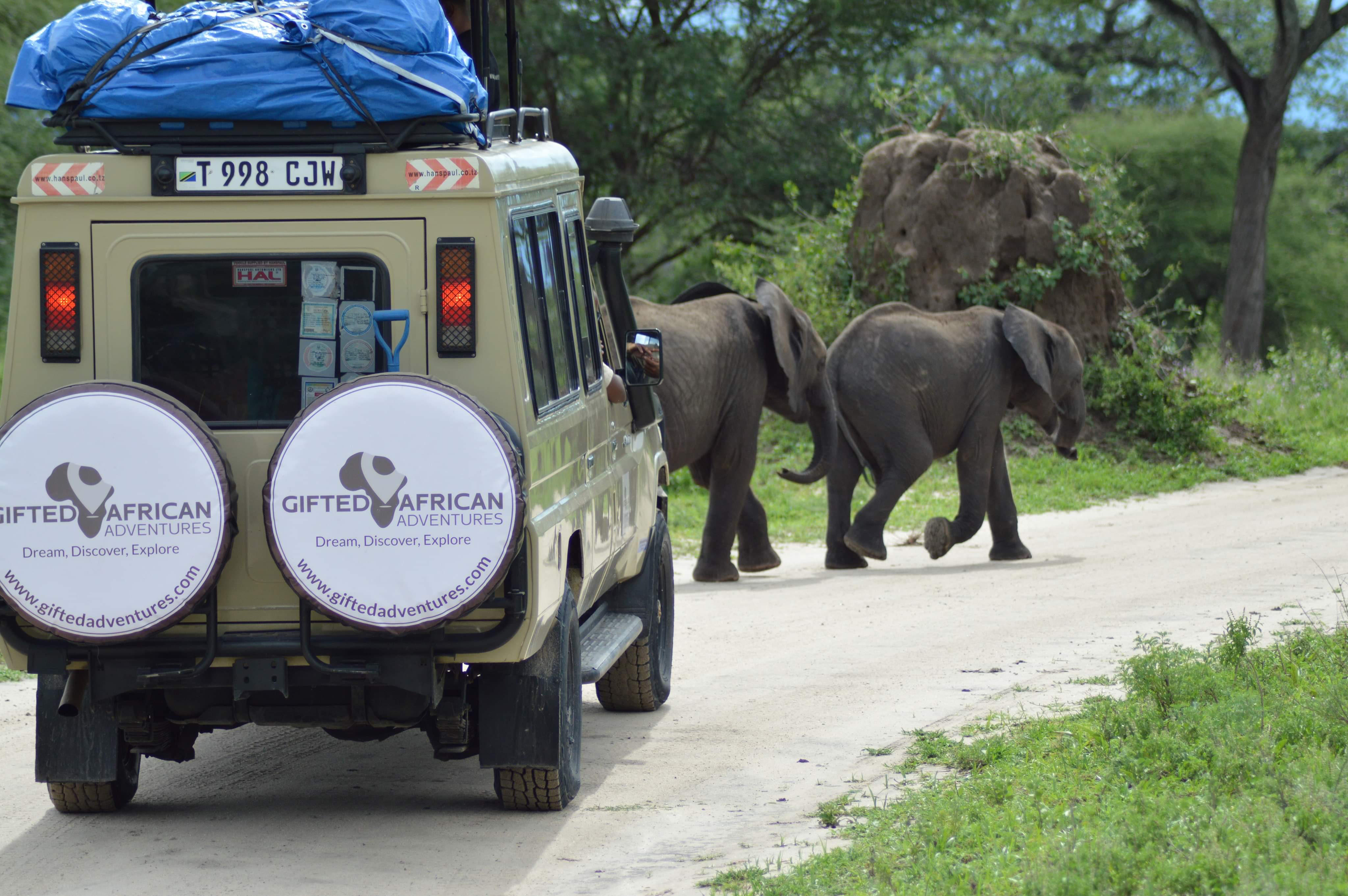 background image for - 2-Days Luxury Wildlife Safari