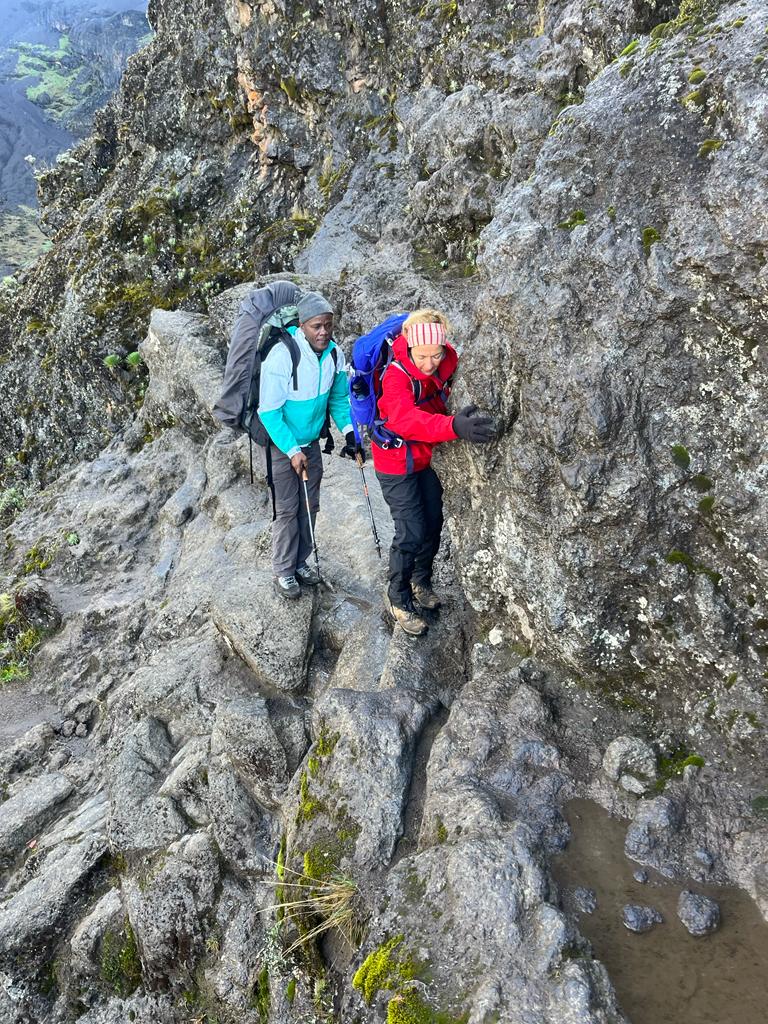 background image for -  6 Days Lemosho Route