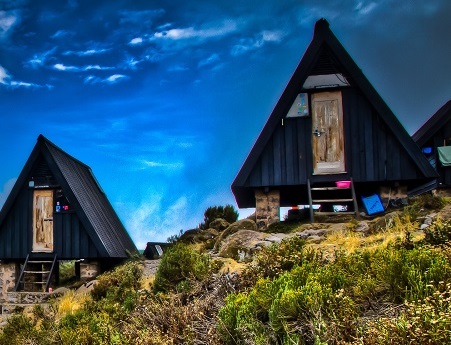 background image for - 5-Day Kilimanjaro Marangu Route