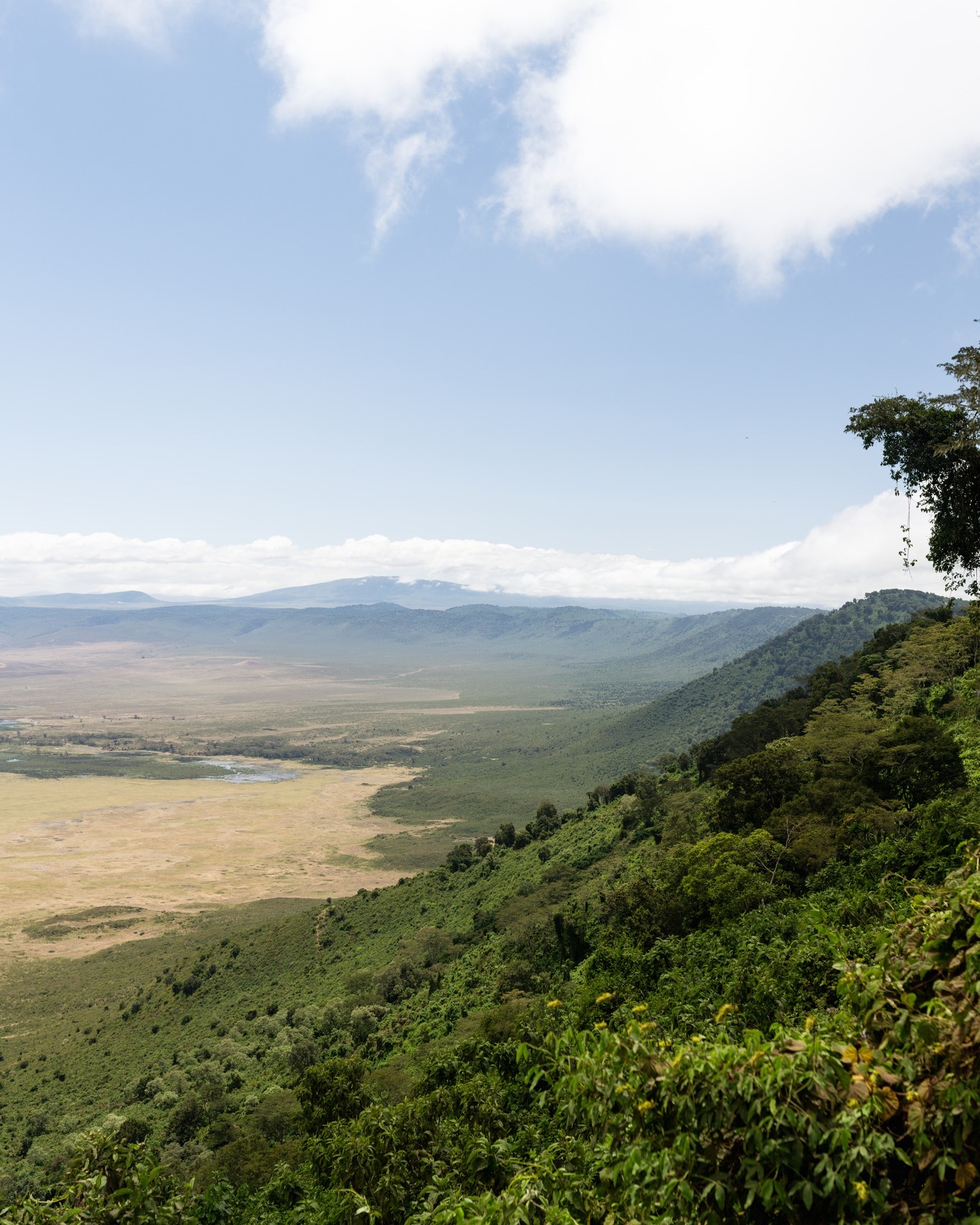 background image for - 1 Day Ngorongoro Joint Safari Adventures 