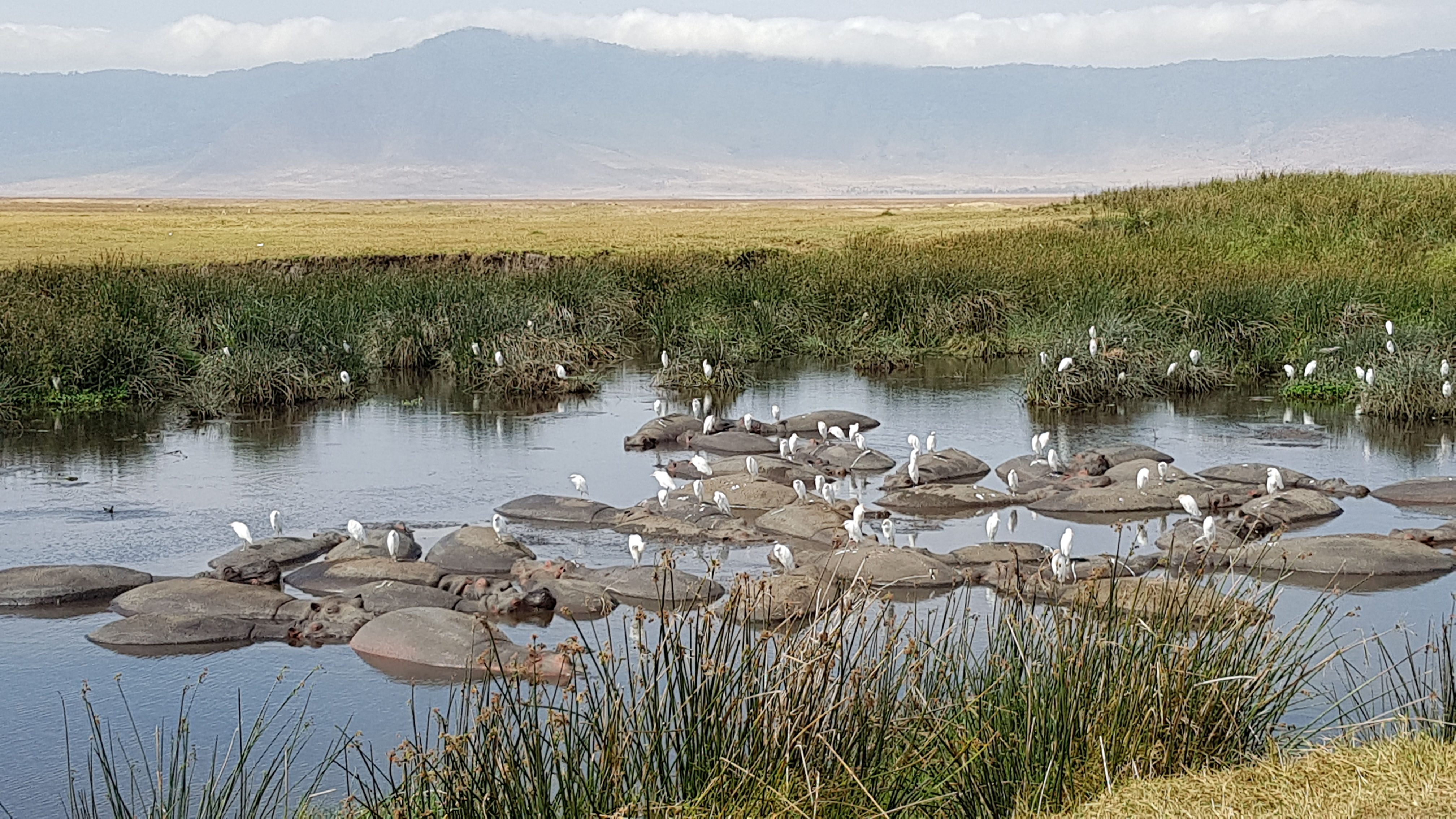 background image for - 3 Days Short Lodge Safari.