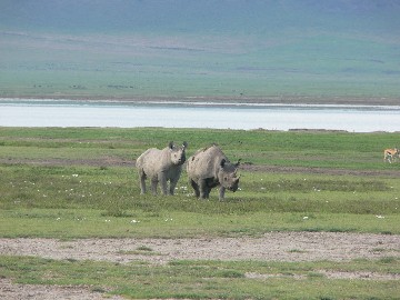 Image number 2 for Tanzania Safari – Tarangire, Lake Manyara & Ngorongoro Crater