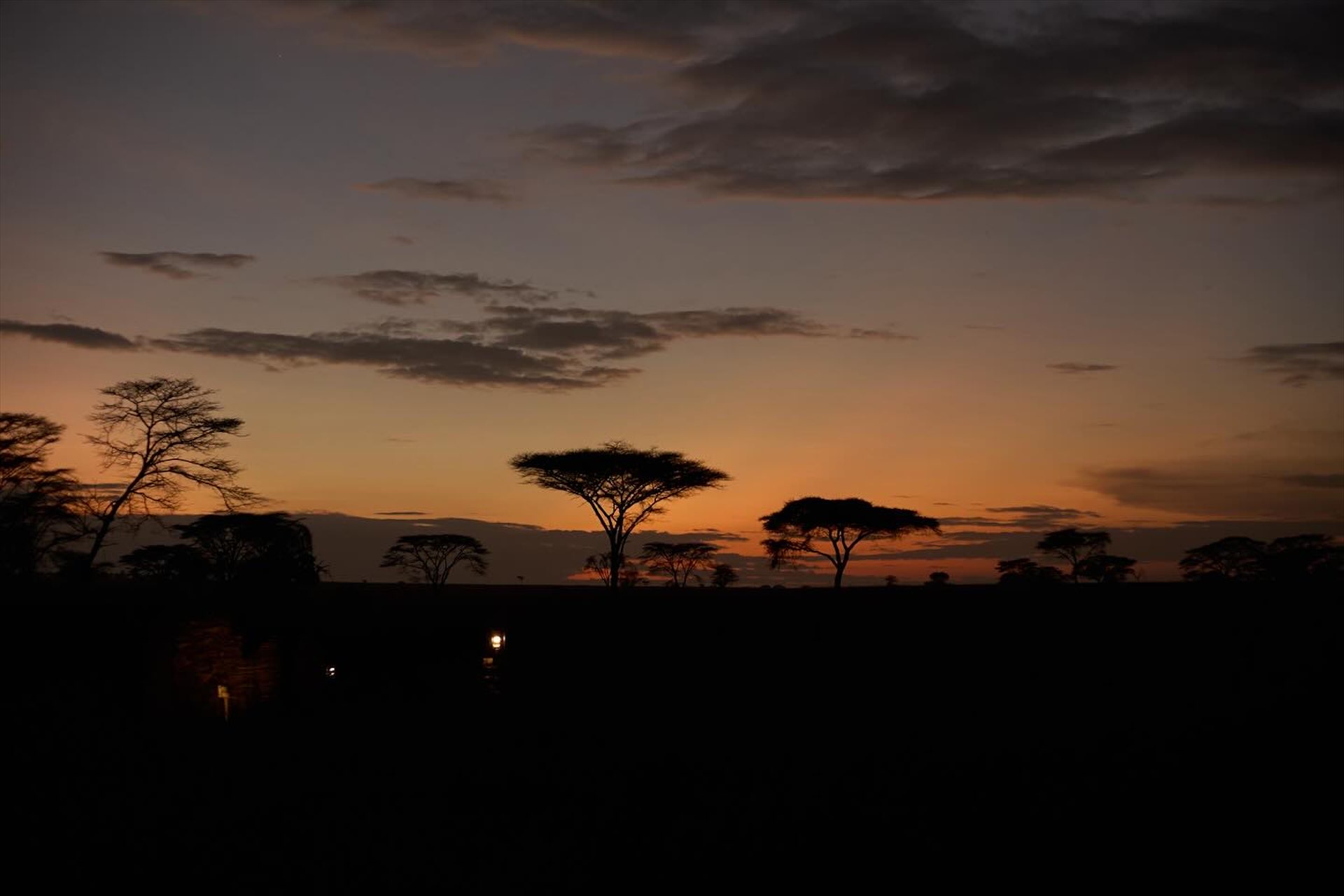 background image for - 3 day In Tarangire, Serengeti & Ngorongoro Camping